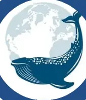 whaleplannet
